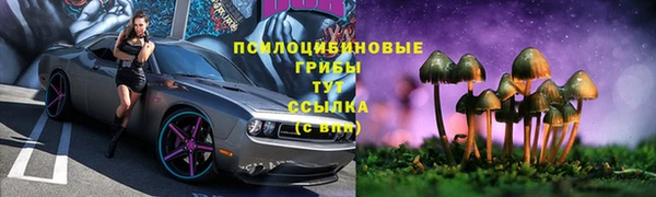 дживик Среднеколымск