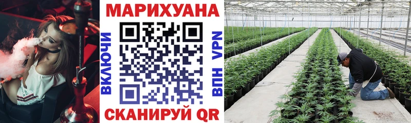 Марихуана Bruce Banner  Изобильный 